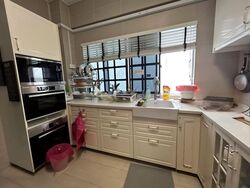 Calin Mansions (D14), Apartment #481702491
